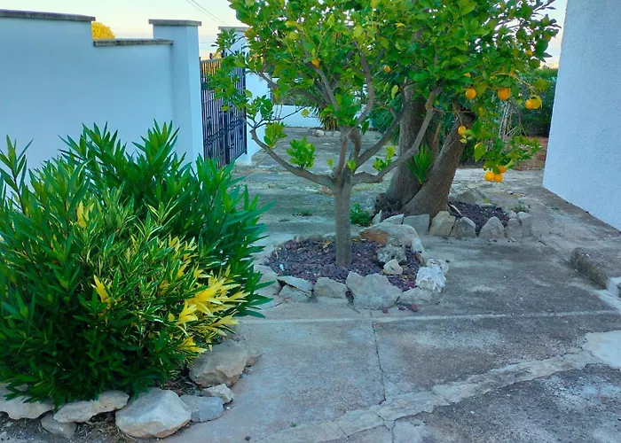 Casa Montgo *