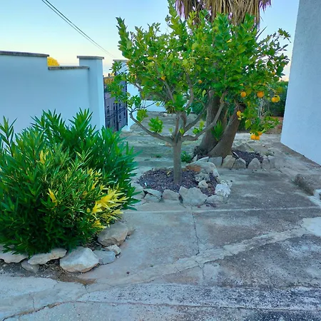 Casa Montgó *